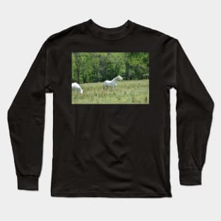 Wild Horse Long Sleeve T-Shirt